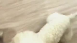 Woe Day 72. I am in the ark. Waiting for GOD to open the Door for a spring/summer Pentecost rapture