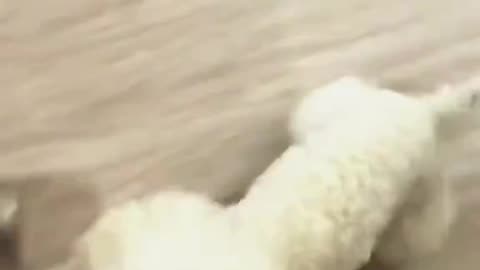 Woe Day 72. I am in the ark. Waiting for GOD to open the Door for a spring/summer Pentecost rapture