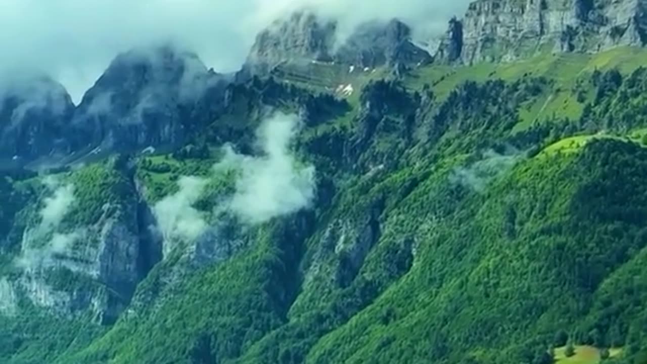 Misty Forest Road: A Healing Journey Through Green Wonderland