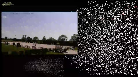 Mousehold Farm All Weather Riding arena