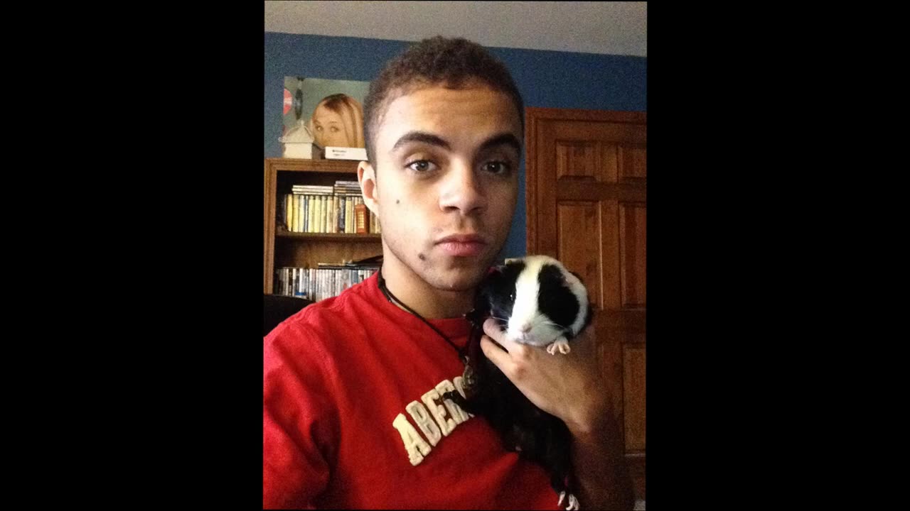 In loving memory of Robbie the Guinea Pig _ Joe Winko