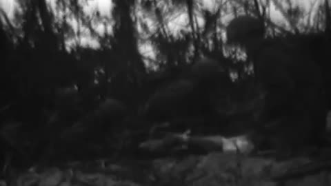 Invation of Peleliu - Invation of Peleliu - 428-npc-19415