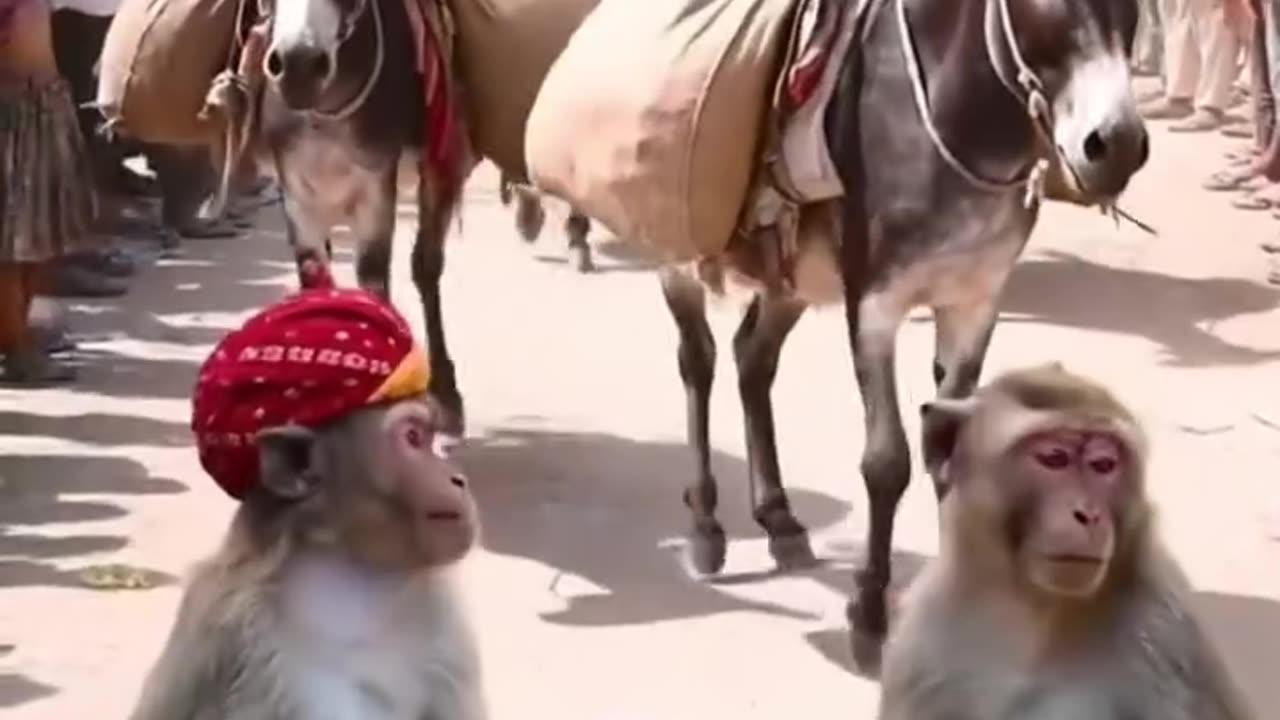 Beautiful video