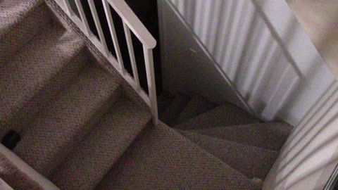 September ‎5, ‎2020, ‏‎1:18:32 Am