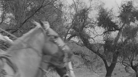 Gunplay (Western 1951)