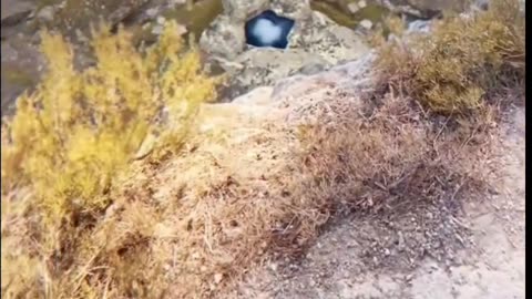 Amazing Jump.
