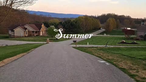 summer