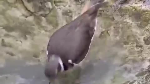 They Also Feels Hot Days