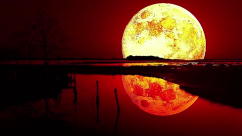 عندما بكي الشيخ عبد الباسط عبد الصمد