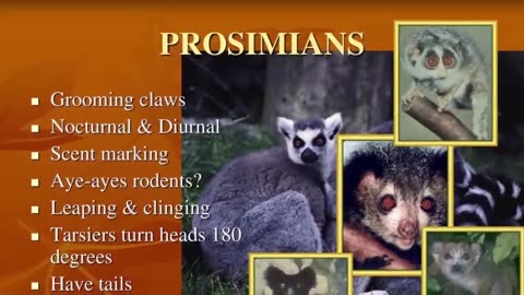 Robert Sepher: Out of Africa Theory Debunked