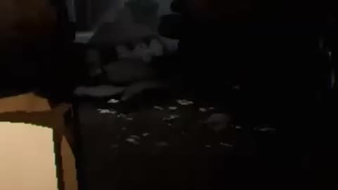 "OHH Shit! a Zombie!" #cool #vr #trendy #funny #viral #duet #youtubeshorts #virtualreality #booties