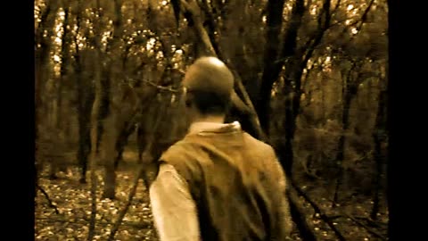 AftCowl Treefighter ROAD KILLER Video