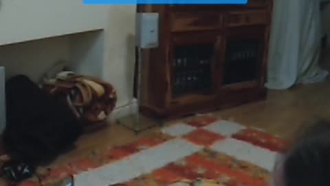 May indirect contact video call number 3, part 5