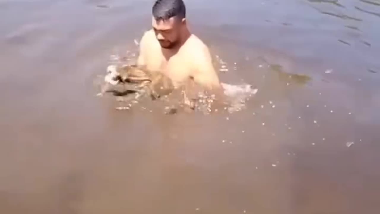 "🚨 Man Enters River for a Bath, Discovers a Crocodile Beneath! 🐊😱"