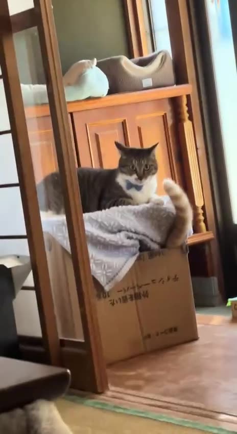 Hide me I am in trouble