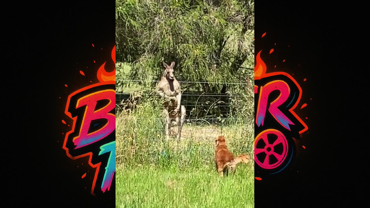 🐾 🐶 "You Won't Believe How These Dogs React To Other Animals"