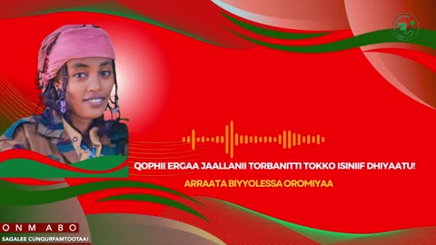 ONM-ABO Hagayya 3-2025 itti dhiyaadhaa!
