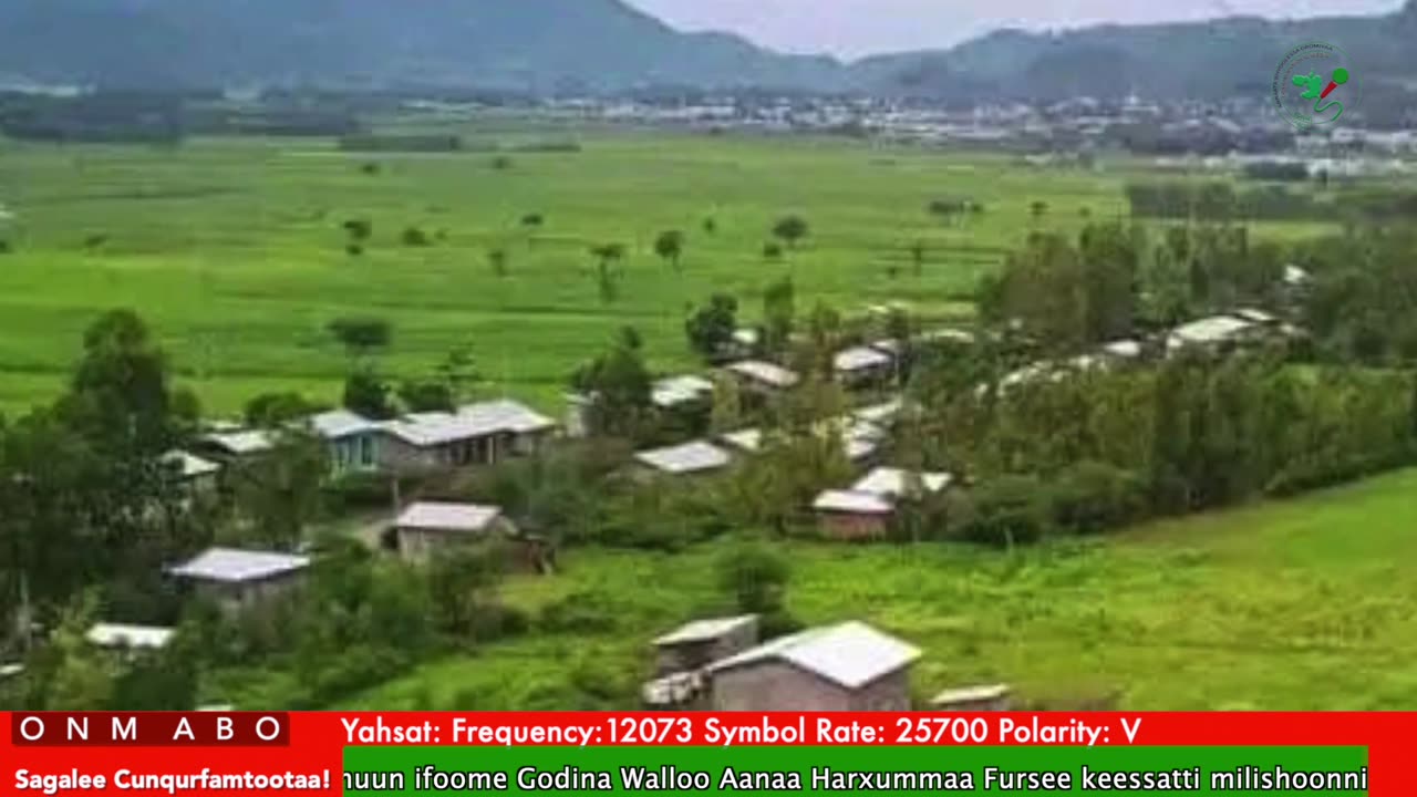 Oduu Waaree ONM-ABO Fulbaana 25-2025 itti dhiyaadhaa!