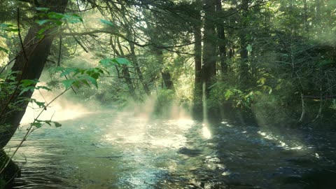 "Don’t look back, you’re not going that way."