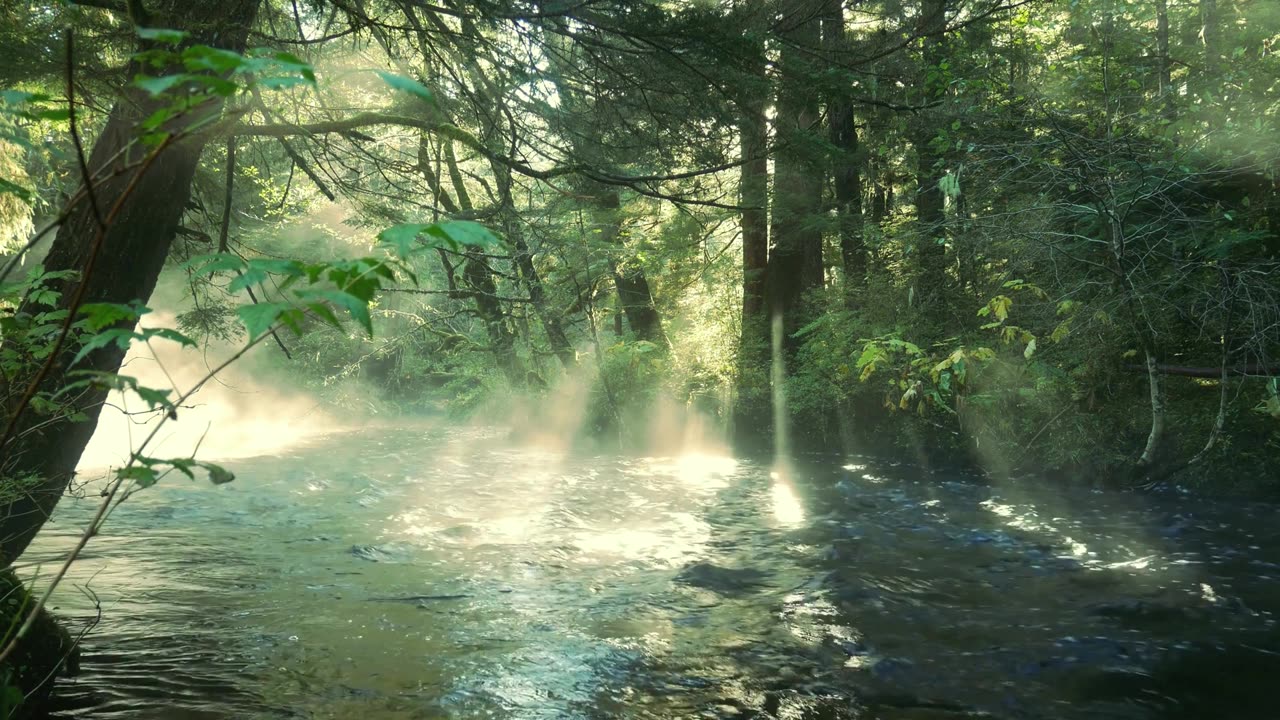 "Don’t look back, you’re not going that way."