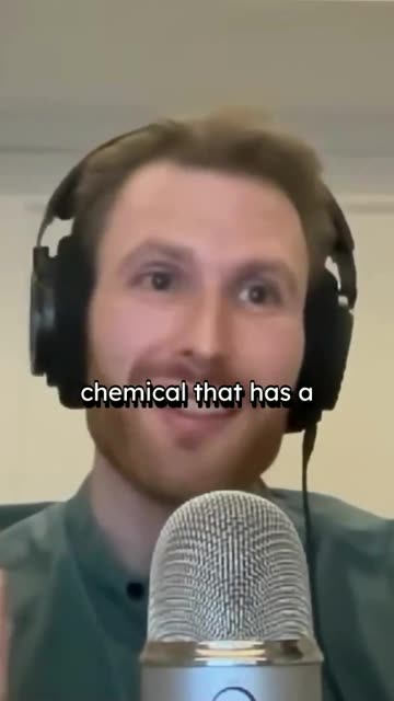 Chemotherapy's Non-Toxic Twist - Athena Aktipis on 80000 Hours #evolution #cancer