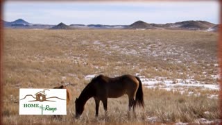 Trent Loos in the Morning - 10/27/2025