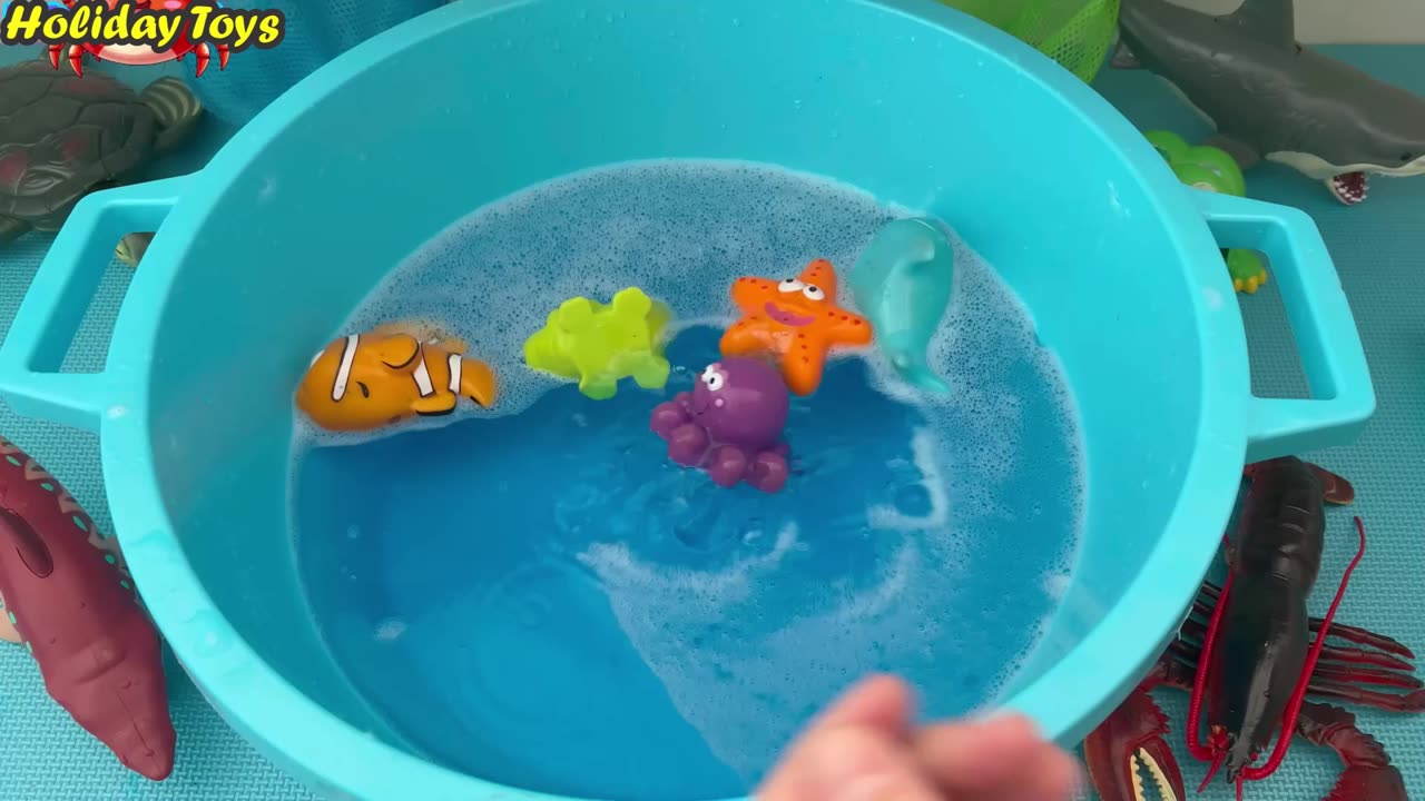 Purple Octopus Bathes in Dirty Water to Hide From Predators