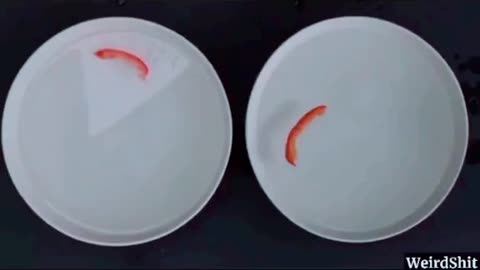 Here is a way to test your fruit and veggies if they are GMO …GMO plants swim on their own in salt water!