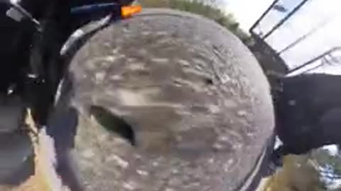 go pro