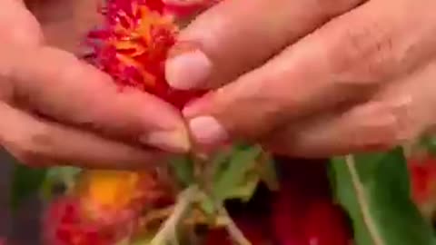This Is For RAMBUTAN Lovers!!
