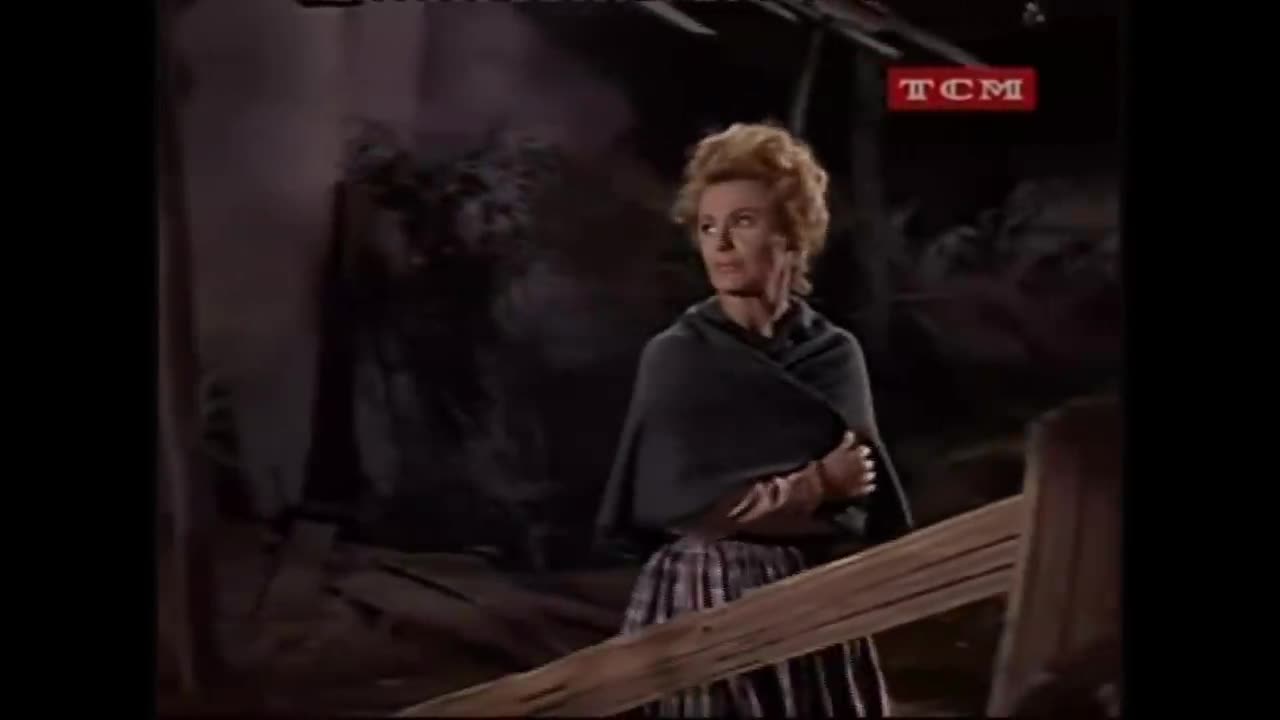 BONANZA - Cinco ao Vento