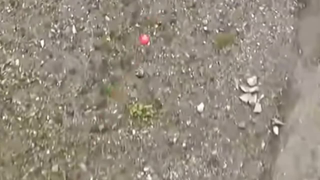 Physics