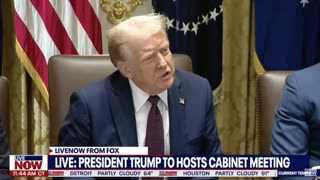 Reporter Thanks Trump For Cracking Down On Crime In Surprising Moment