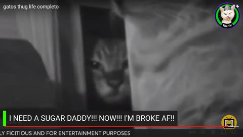 4/30/24 A LOOK BACK=MAD & BROKE AF LIFE OF A INFAMOUS GARGAGE YOUTUBER *FAIR USE*