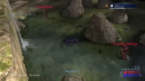 Halo Stream