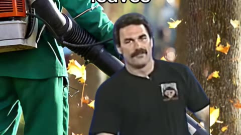 Bro is obsessed with his lawn