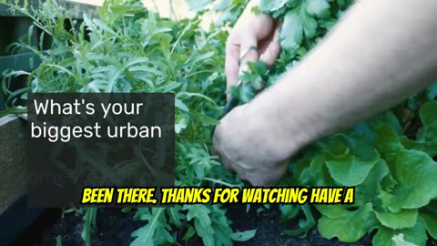 10 Urban Homesteading Mistakes You Should Avoid and How to Fix Them!