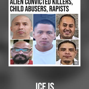 ICE Is Saving America