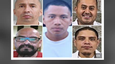 ICE Is Saving America