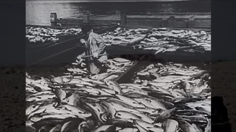 Living In the Futures Past (2018)