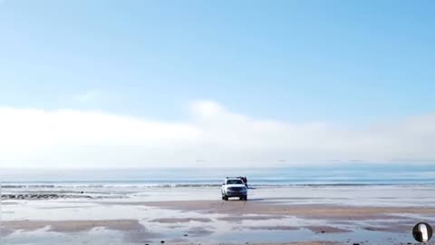 Mairangi Bay Beach Auckland New Zealand Tour