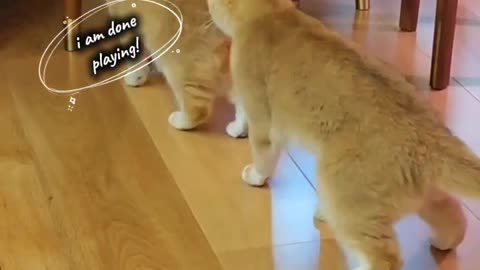 Zoey and friends, fighting over something