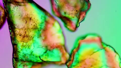 THIS BEACH SAND LOOKS NORMAL UNTIL YOU SEE IT UNDER A MICROSCOPE!