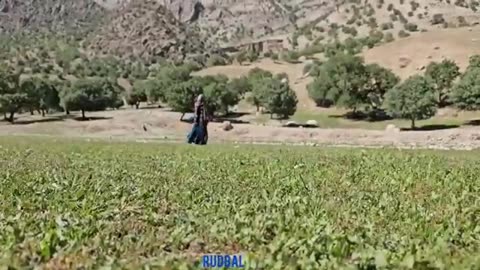 الحياة البدوية: فتيات بدويات شجاعات يعبرن النهر | أحلام الفتيات البدويات بالبقاء🏔️🐐