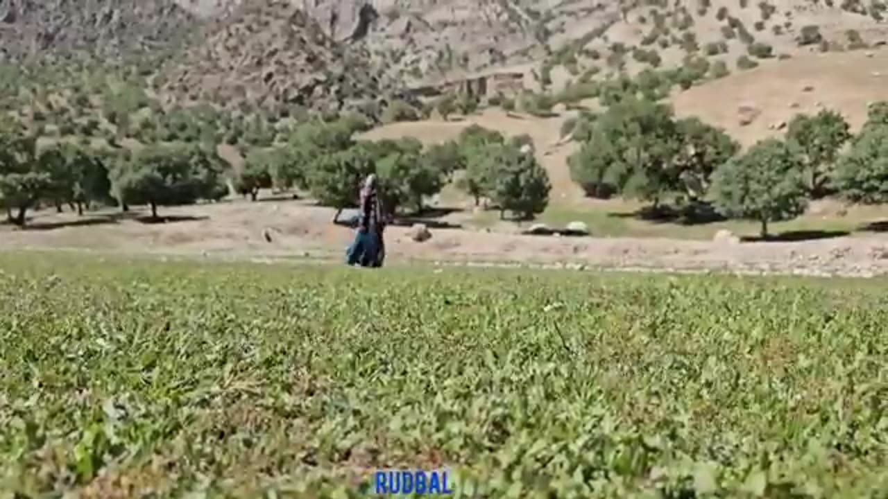 الحياة البدوية: فتيات بدويات شجاعات يعبرن النهر | أحلام الفتيات البدويات بالبقاء🏔️🐐