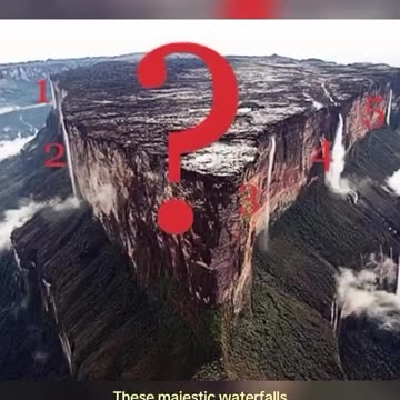 The Gushing Water Trees