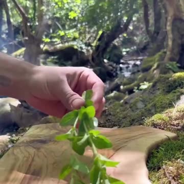 Budget-Friendly Meals: 5 Delicious Dinners Under $5