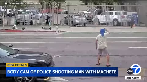 LAPD bodycam video shows man’s machete rampage before deadly shooting