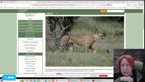 Live with Restream, November 04