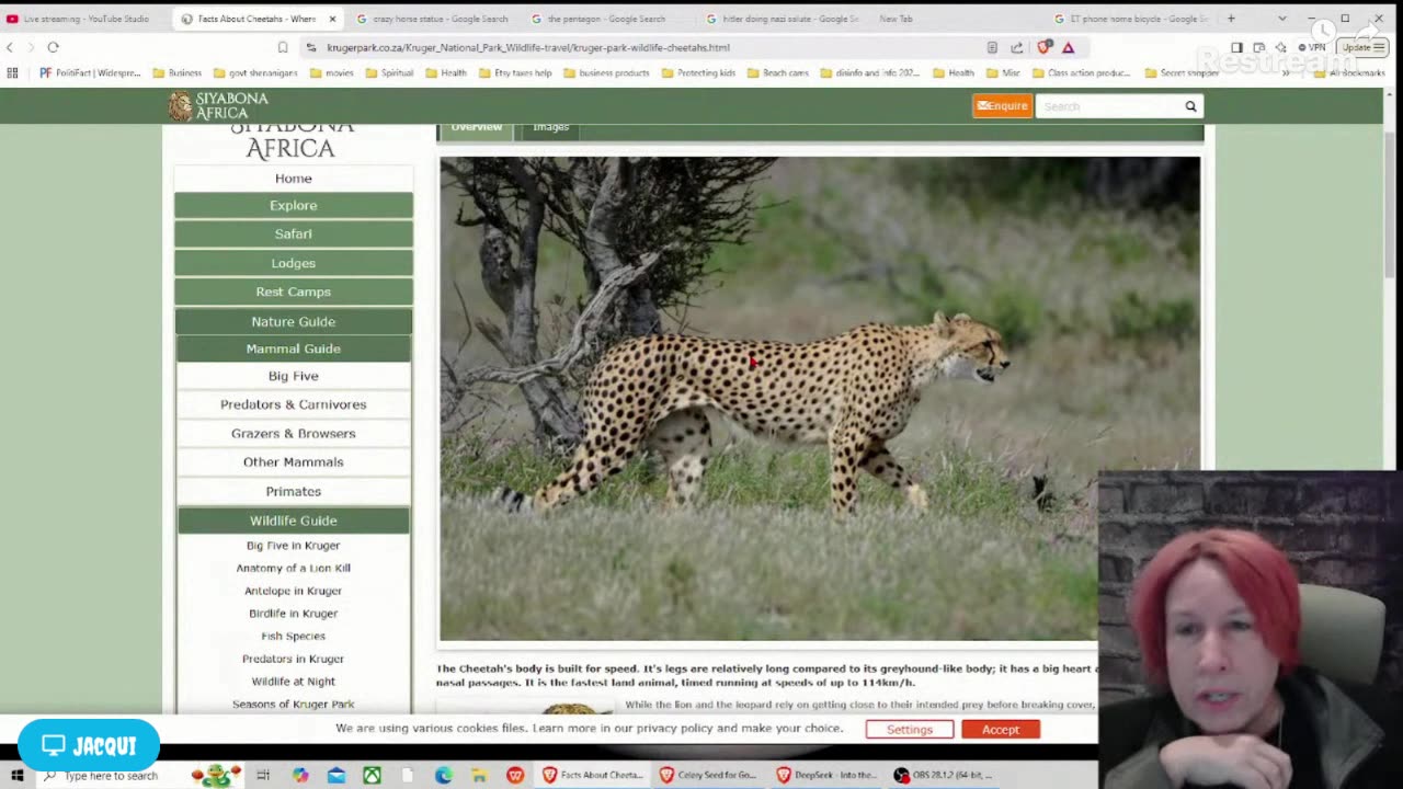 Live with Restream, November 04